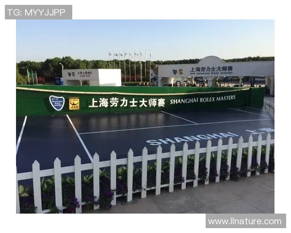 上海排球队在大师赛中的状态分析与表现评估