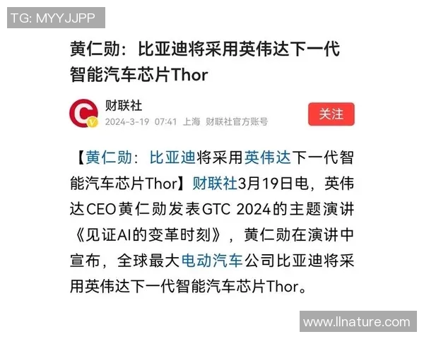 专访羽毛球明星刘磊深度剖析成功背后的秘密与坚持