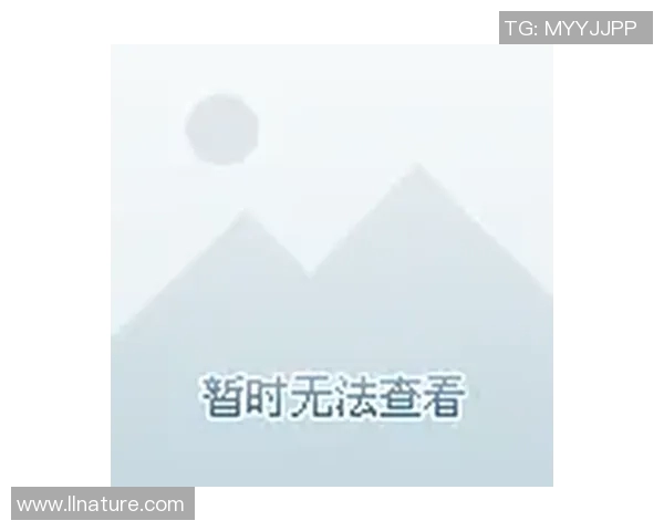 体验一流足球明星游戏的激情与挑战，尽享足球盛宴的乐趣与精彩