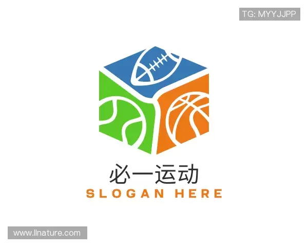 解读Bsports